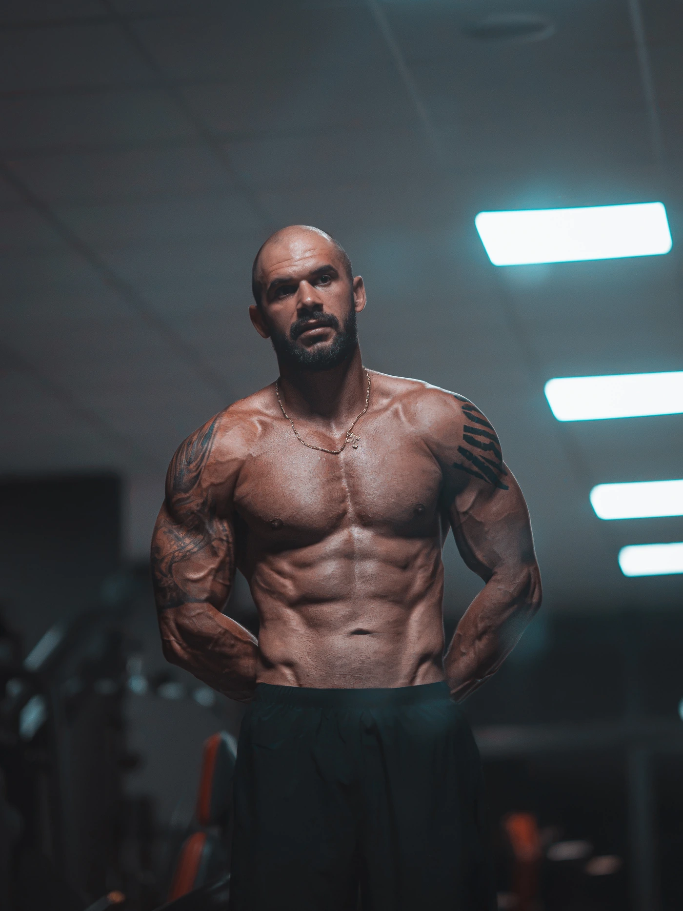 Novak Sudar